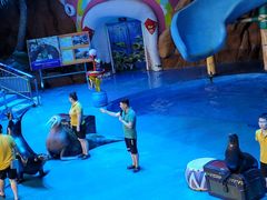 -烟台海昌鲸鲨海洋公园