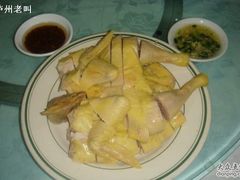 吹水酱冻鸡-三辣馆