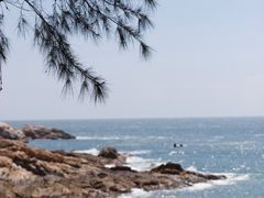 -广东惠东海龟国家级自然保护区