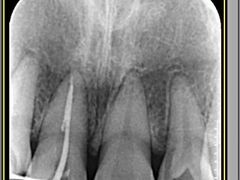 -浙江大学医学院附属口腔医院湖滨（延安）院区