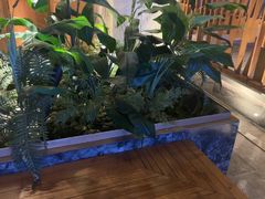 -浅深(北京北四环精品店)