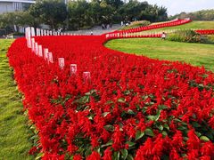 -深圳国际园林花卉博览园