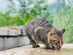 -息烽温泉