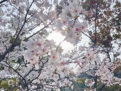 -幕燕滨江·燕子矶公园