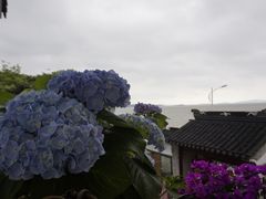 -东山风景区(洞庭东山)