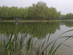 -东郊湿地公园