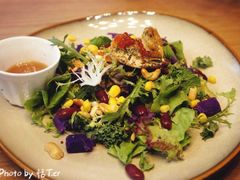 -HELLO 27 意面·沙拉·帕尼尼