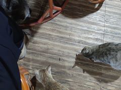 -傣家苑傣味餐厅