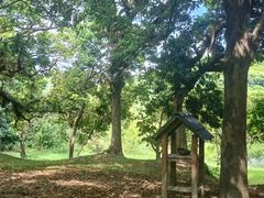 -福建鲤鱼洲酒店