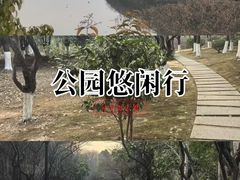 -月湖风景区
