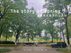 -后襄河公园