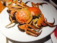 -星伦多 自助料理(圆融店)