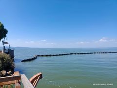 -呈贡滇池生态湿地公园