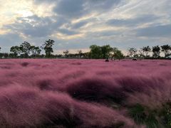 -嘉北郊野公园