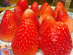 -仿膳饭庄·宫廷风味(百年传承店)