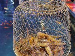 -钳真多钓虾馆·小龙虾海鲜烧烤(九六广场店)