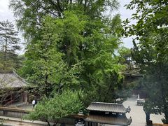 -潭柘寺景区