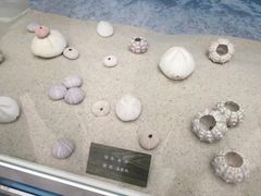 -长春农博园