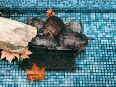 -莹珠阁·私房菜