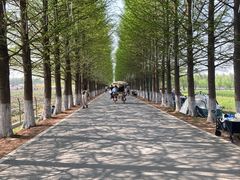 -嘉北郊野公园