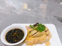 -老绍兴养和饭店(向阳不夜城店)