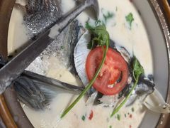 -全乐鱼馆·淳牌有机鱼直营店