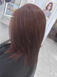 -镁连社·美联社