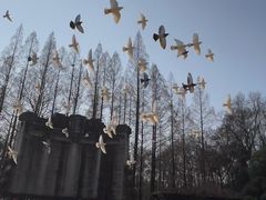 -音乐台