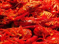 -松咖啡自助餐厅·松北香格里拉