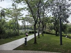 -四海公园(南山区)