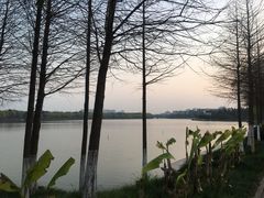 -东湖景区