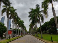 -厦门大学(思明校区)