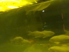 -中影国际影城(兰生大厦CINITY LED店)