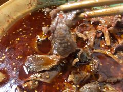 -高记什邡肖麻辣(成都店)