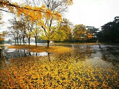 -淮海战役纪念馆
