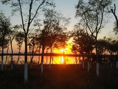 -天津东丽湖风景区