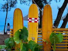 -西涌国际滨海旅游区