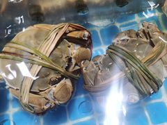 -将相和·海鲜蒸饺大连菜