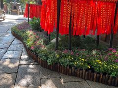 -秋霞圃