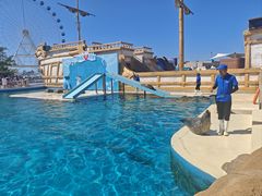 -秦皇岛乐岛海洋王国