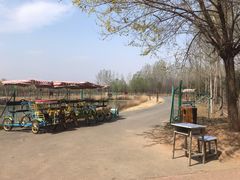 -淇河国家湿地公园