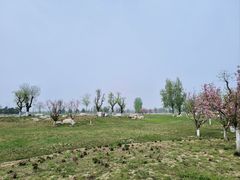 -汉长安城未央宫国家考古遗址公园