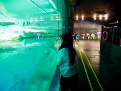 -新加坡飞禽公园