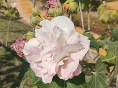 -中国移动南方基地