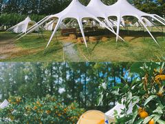 -前小桔亲子创意农场·草莓采摘·露营烧烤