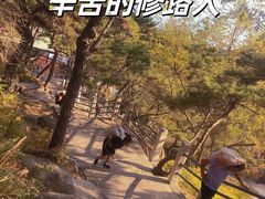 -崂山仰口游览区