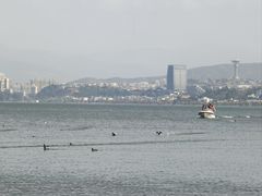 -洱海月湿地公园