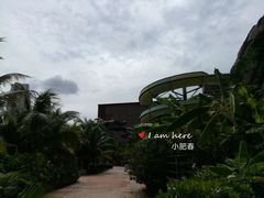 -亚马逊丛林水乐园