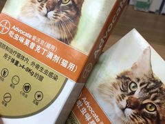 -瑞派宠物医院·中兽医专科(中央商城分院)