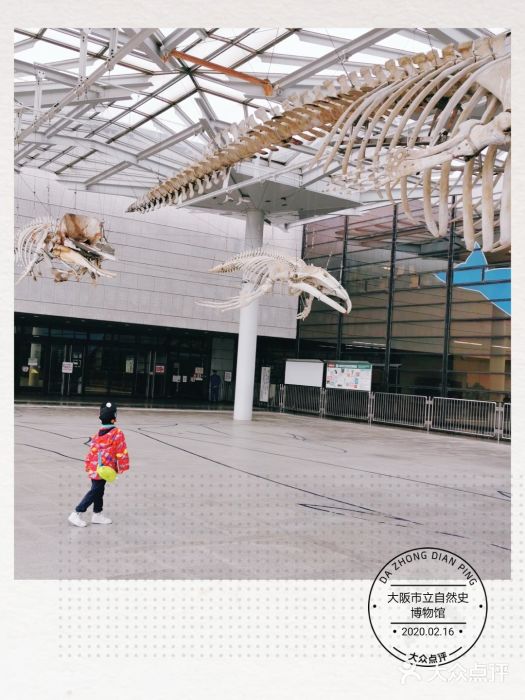 大阪市立自然史博物馆图片